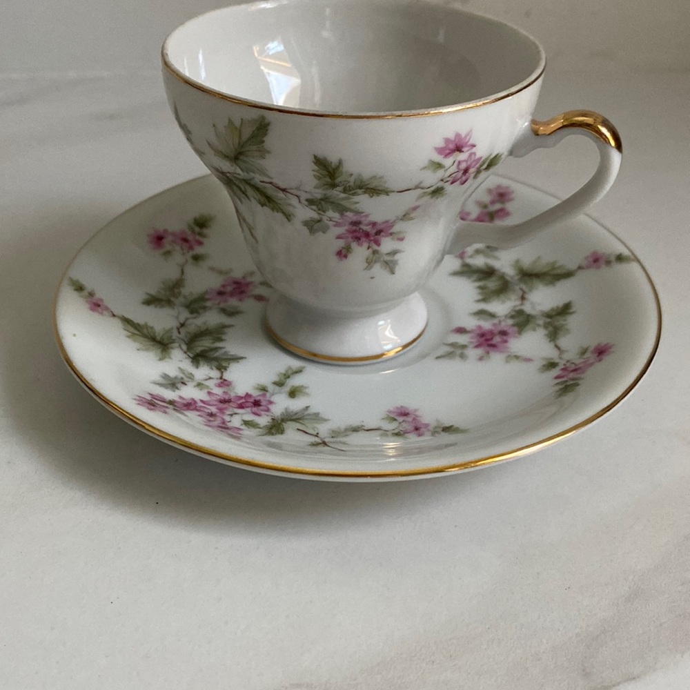Norcrest Fine China C-890 Teacup & Saucer set